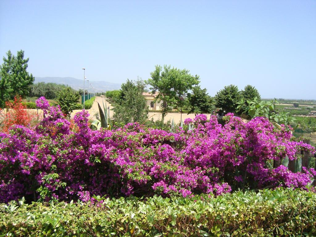 Tenuta Colle Degli Ulivi Sibari Exterior foto